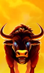 Big Wild Buffalo 2
